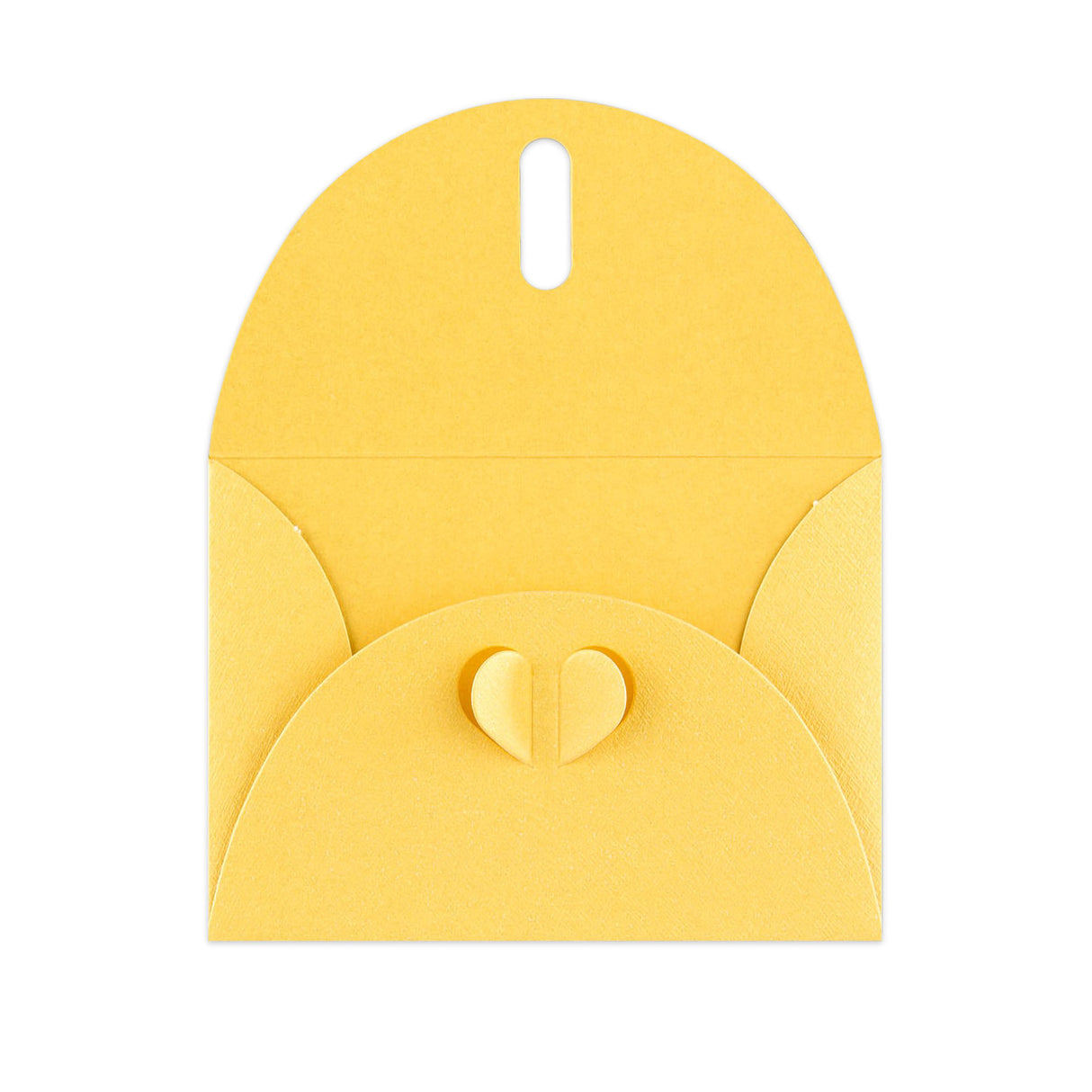 Omotnice s leptirima