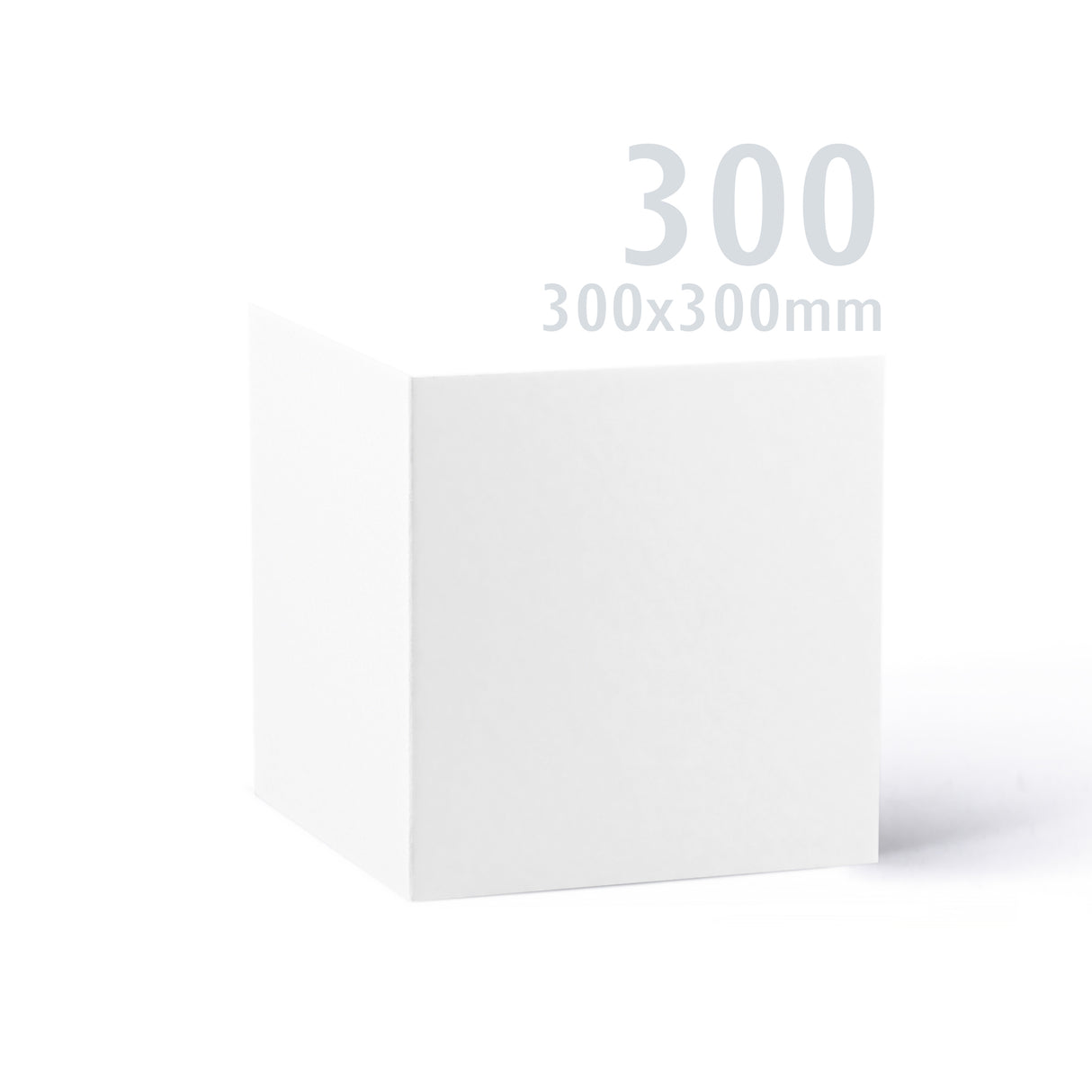 300x300 Bijela Premier kartica 250 g/m² pakiranje