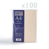 Kartica 300 g/m² pakiranje od 100 komada