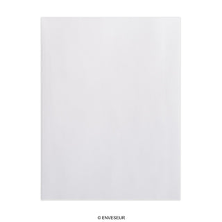 Bijela Omotnica s Kartonskom Stražnjicom 250x176 mm (B5) 450gr