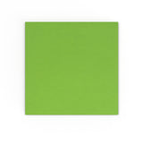 CD omotnice bez prozora